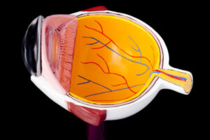 Read more about the article Corneal transplants becoming more common